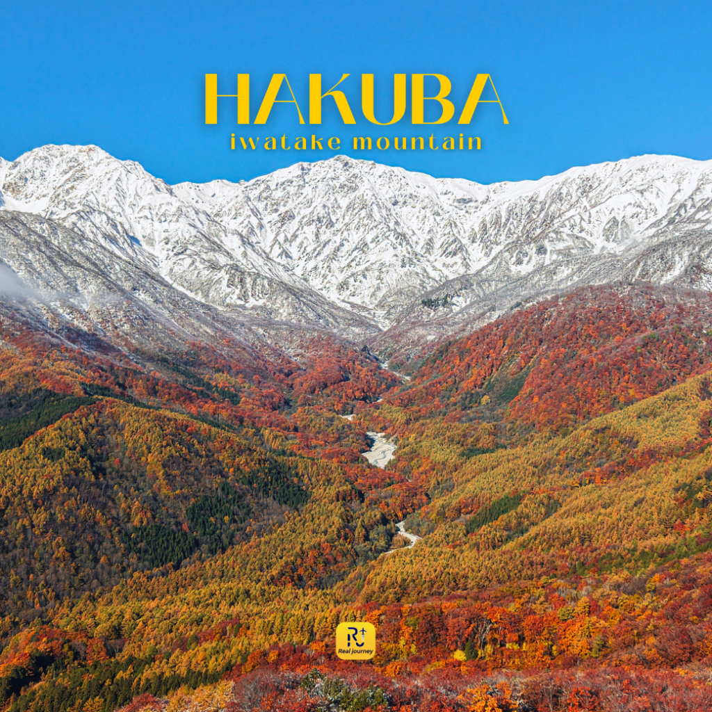 🍁Hakuba Iwatake Mountain จุดชมใบไม้เปลี่ยนสี วิวสวยจนต้องร้องว้าว ⛰️